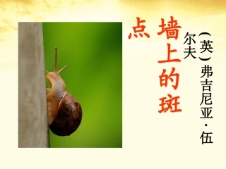 高二语文 第1单元(墙上的斑点) 新人教版选修(外国小说欣赏) 课件