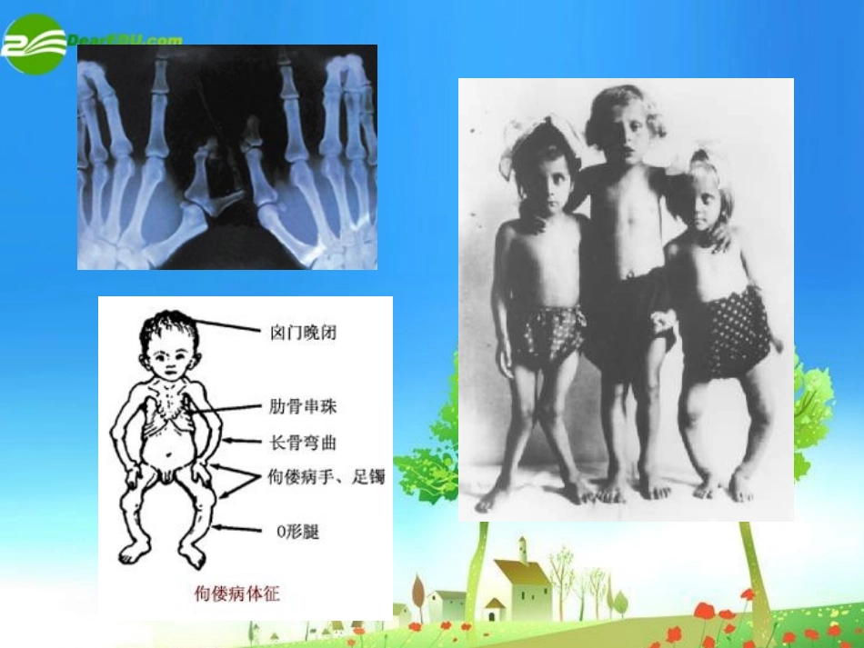 高中英语 (Healthy eating)课件 人教新课标版必修3 课件_第3页