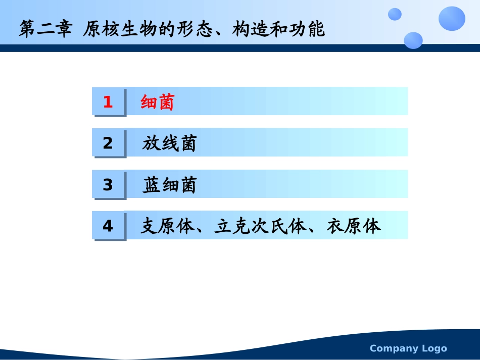 原核生物的细胞结构_第3页