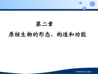 原核生物的细胞结构