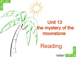 高三英语Unit13 新课标 人教版 课件