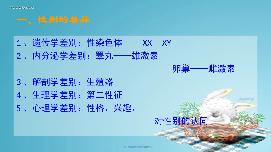 女生青春期教育讲座2_第2页