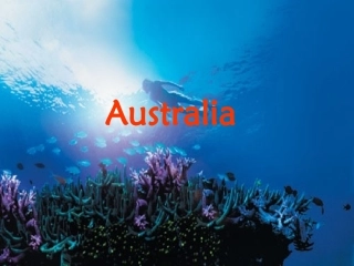 高三英语Unit3 the land down under课件