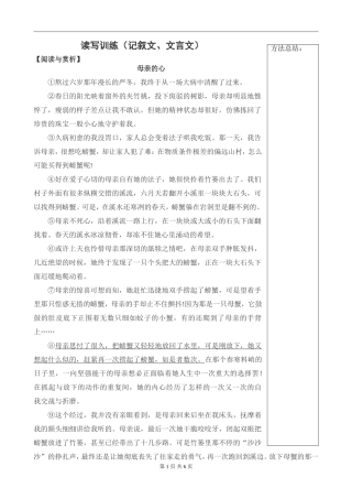 初中语文写作指导：读写训练（记叙文、文言文）