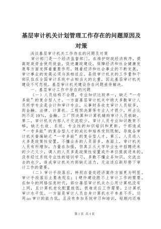 基层审计机关计划管理工作存在的问题原因及对策 