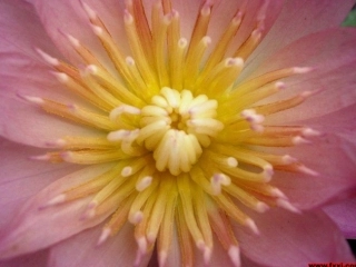 何其芳《秋天》