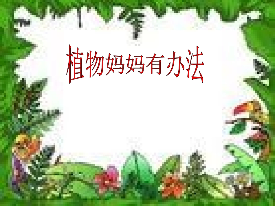 植物妈妈有办法上课_第1页