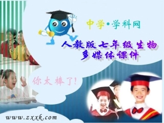 绿色植物的生活需要水1 七年级生物上册：绿色植物的生活需要水课件(新人教版)