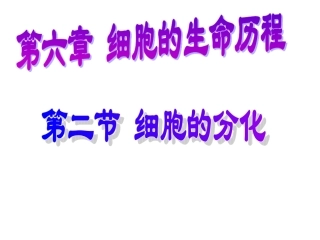 第二节细胞的分化
