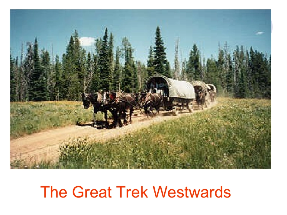 浙江省嘉兴地区高三英语Unit6教学课件 新课标 人教版 课件_第2页