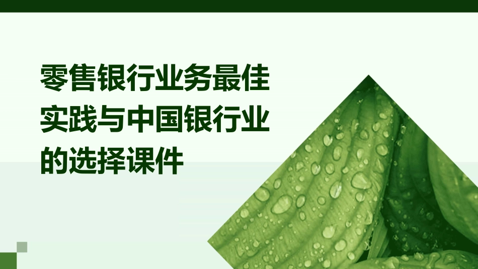零售银行业务最佳实践与中国银行业的选择课件_第1页