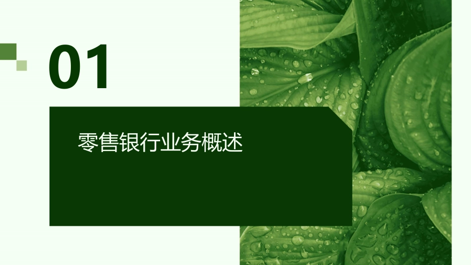 零售银行业务最佳实践与中国银行业的选择课件_第3页