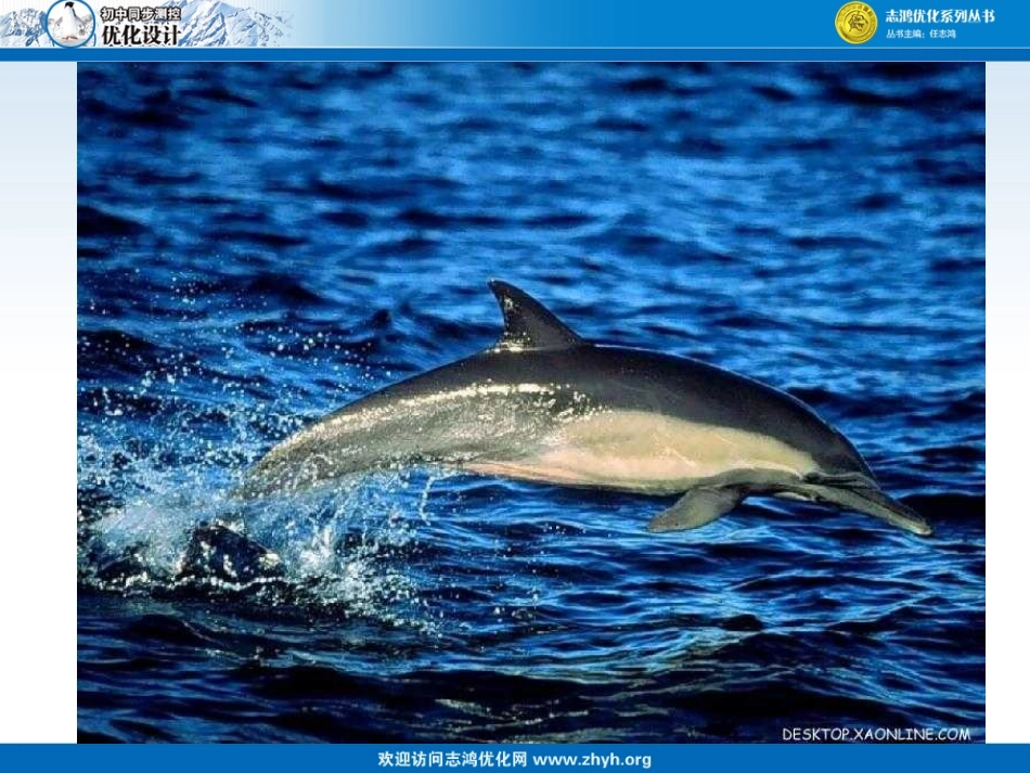海洋是未来的粮仓_第3页