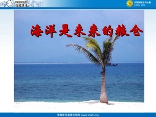 海洋是未来的粮仓