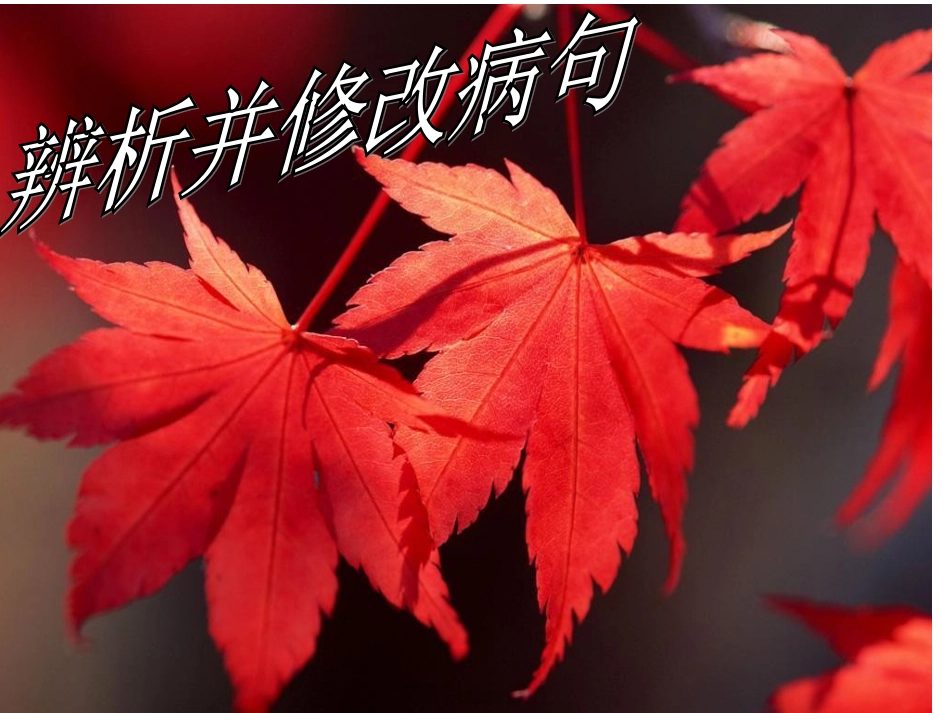 2014年高考病句专题课件(实用)_第2页