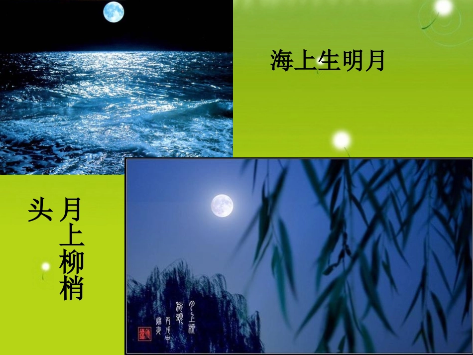 高中语文 职高(科学是美丽的)课件_第3页