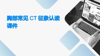 胸部常见CT征象认读课件