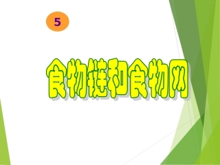 食物链和食物网