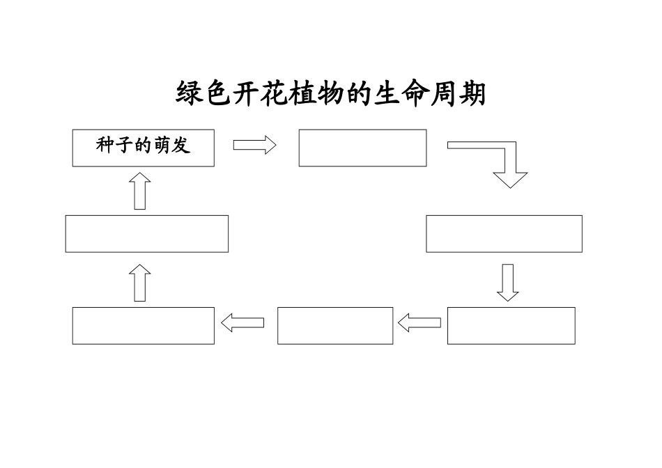 绿色开花植物的生命周期_第1页