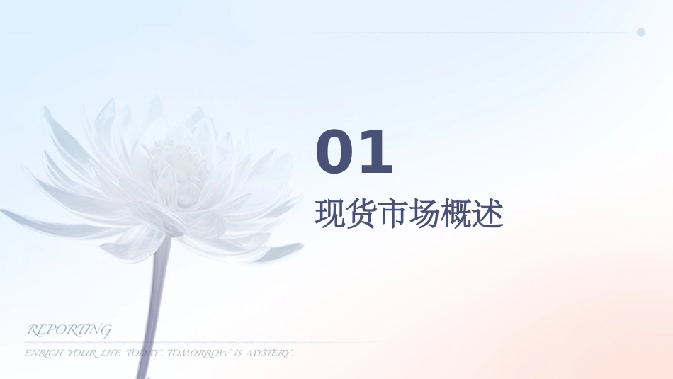 现货介绍及优势分析剖析课件_第3页