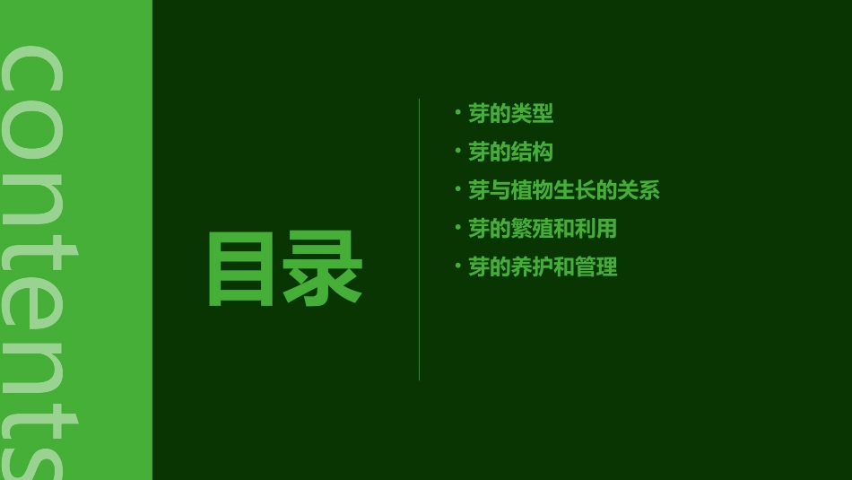 芽的类型和结构课件_第2页