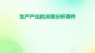 生产产出的决策分析课件