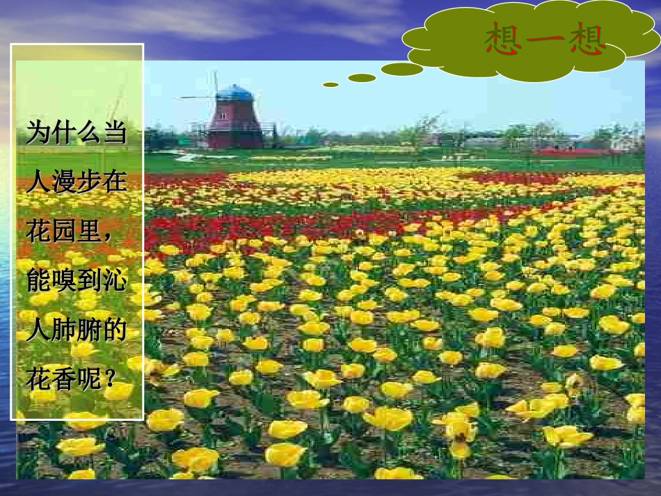 分子和原子(一）(1)_第3页