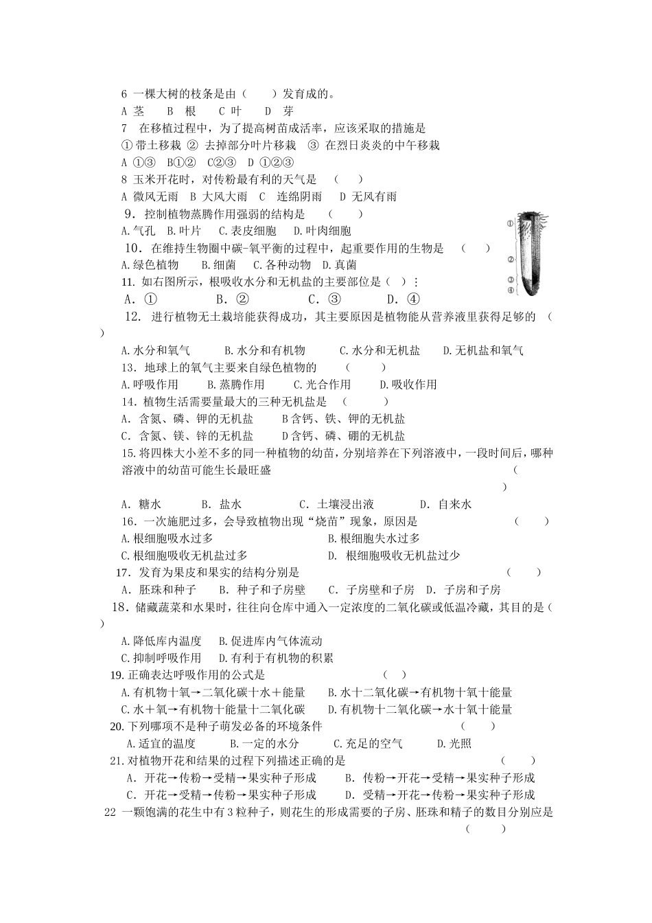 主题四生物圈中的绿色植物_第2页