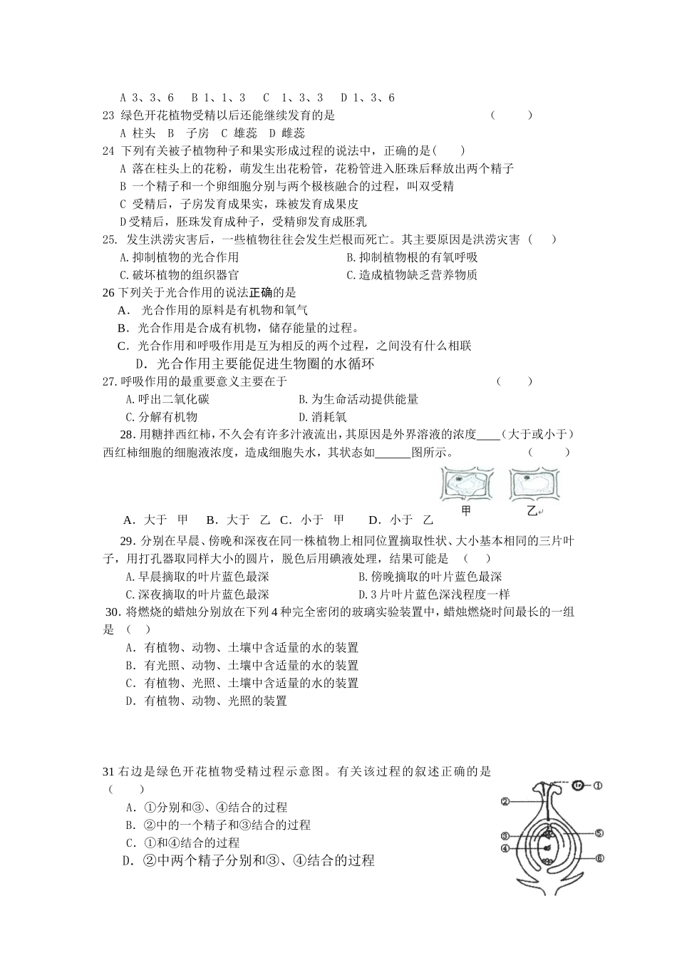 主题四生物圈中的绿色植物_第3页