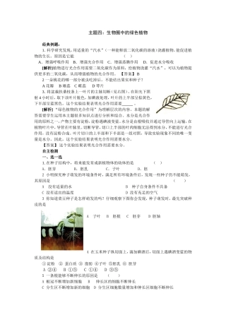 主题四生物圈中的绿色植物