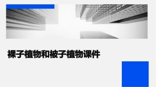 裸子植物和被子植物课件