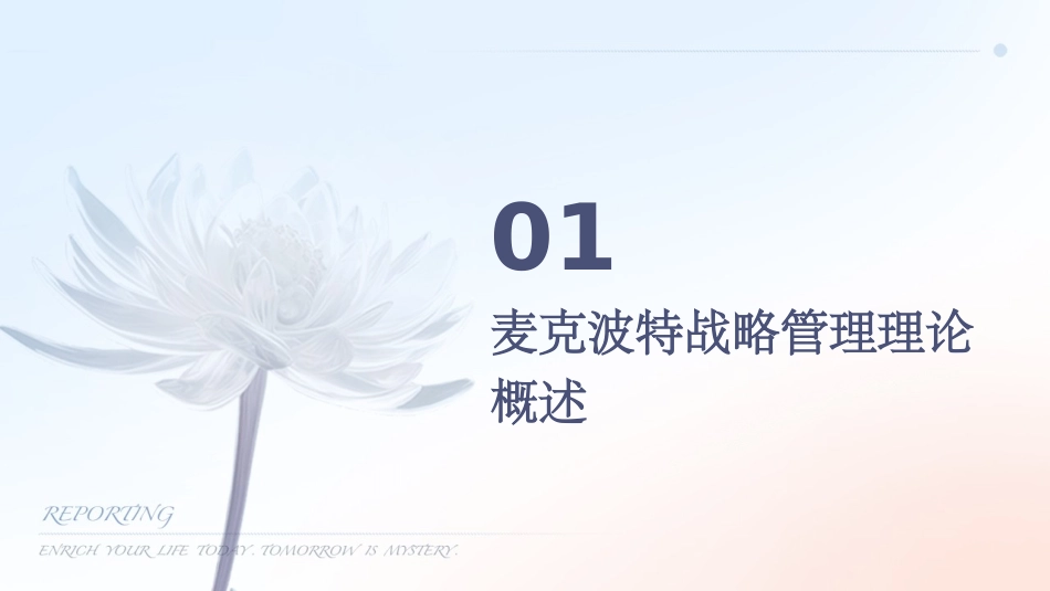 麦克波特《企业战略管理》_第3页