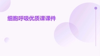 细胞呼吸优质课课件