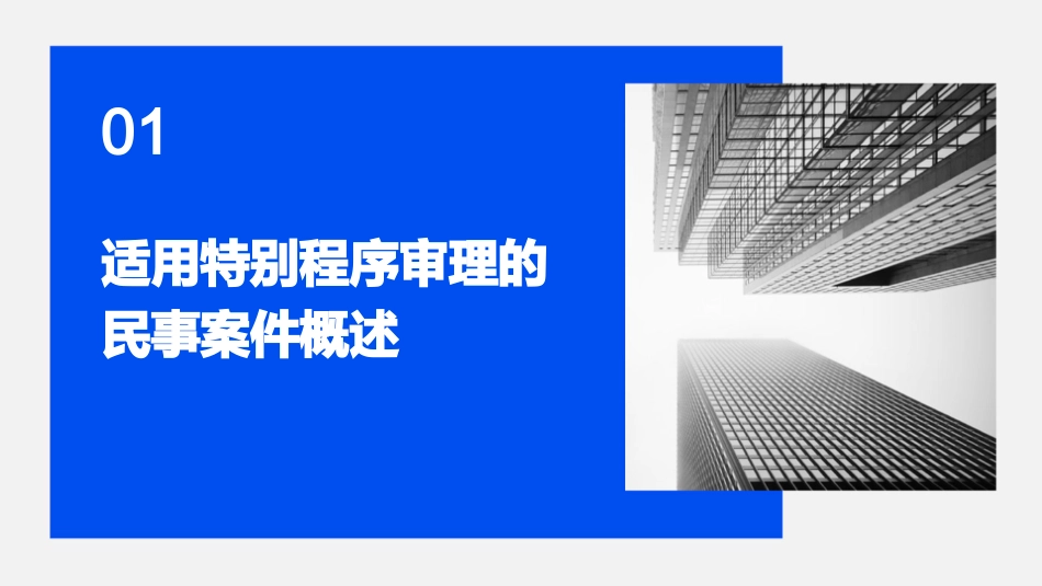 适用特别程序审理的民事案件课件_第3页