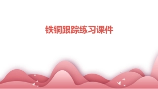 铁铜跟踪练习课件