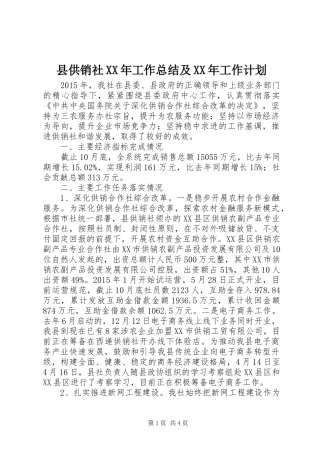 县供销社XX年工作总结及XX年工作计划 