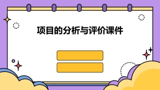 项目的分析与评价课件