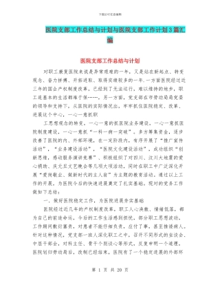 医院支部工作总结与计划与医院支部工作计划3篇汇编
