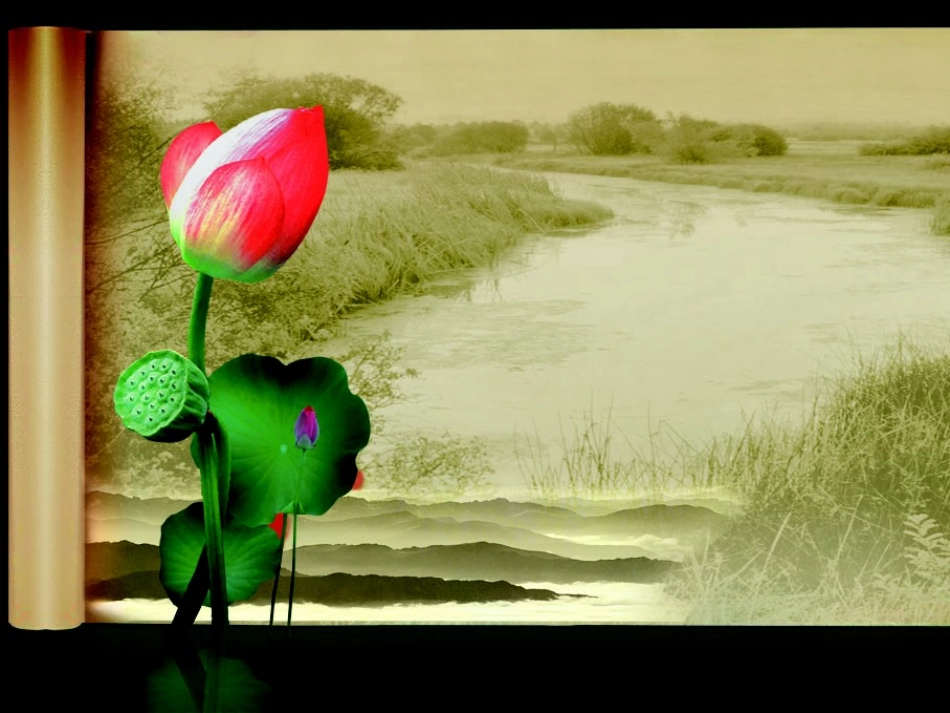 荷花卷轴古典中国风PPT模板_第1页