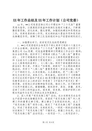 XX年工作总结及XX年工作计划（公司党委） 