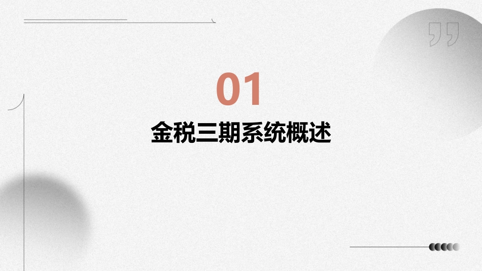 金税三期企业涉税风险预警指标课件_第3页