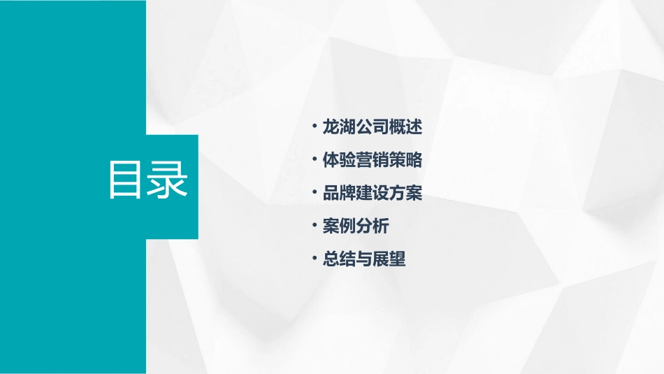 龙湖的体验营销和品牌建设方案讲义课件_第2页