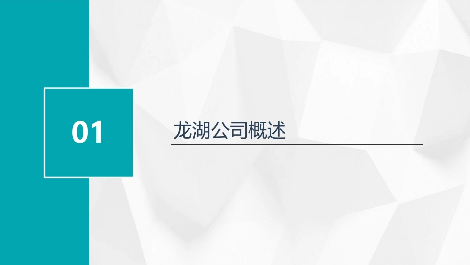 龙湖的体验营销和品牌建设方案讲义课件_第3页