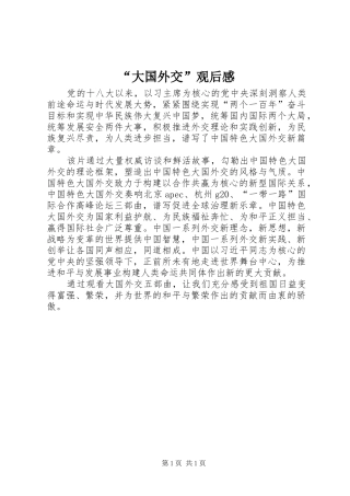 “大国外交”观后感