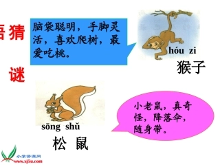 一年级上册比尾巴