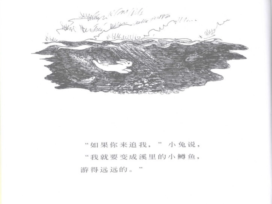 绘本PPT《逃家小兔》_第3页