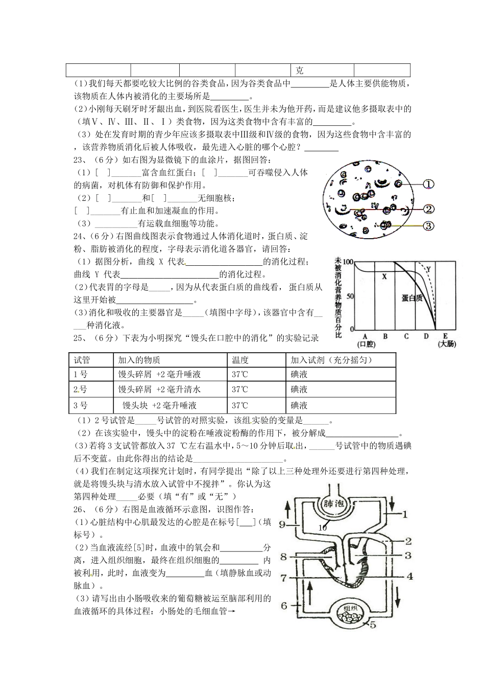 七年级生物下册导学案：阶段复习_第3页