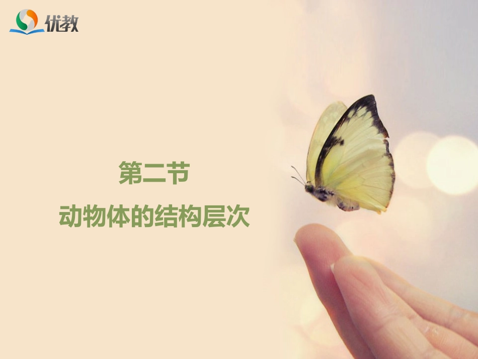 动物体的结构层次(改）_第1页