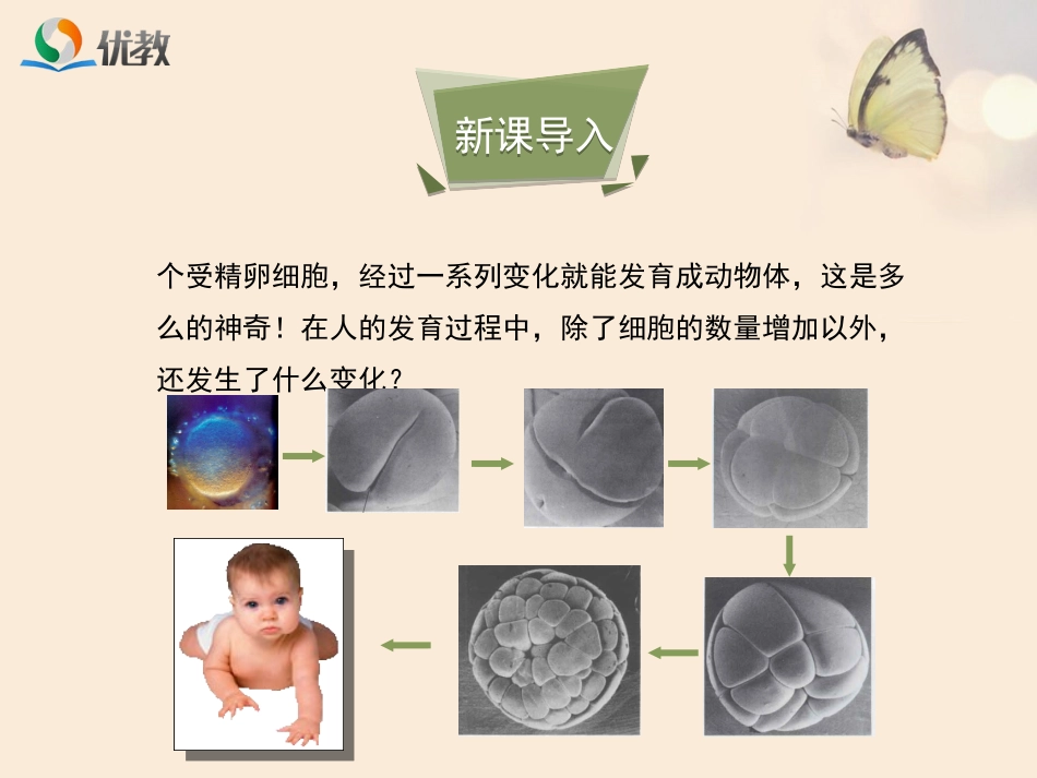 动物体的结构层次(改）_第2页