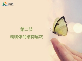 动物体的结构层次(改）